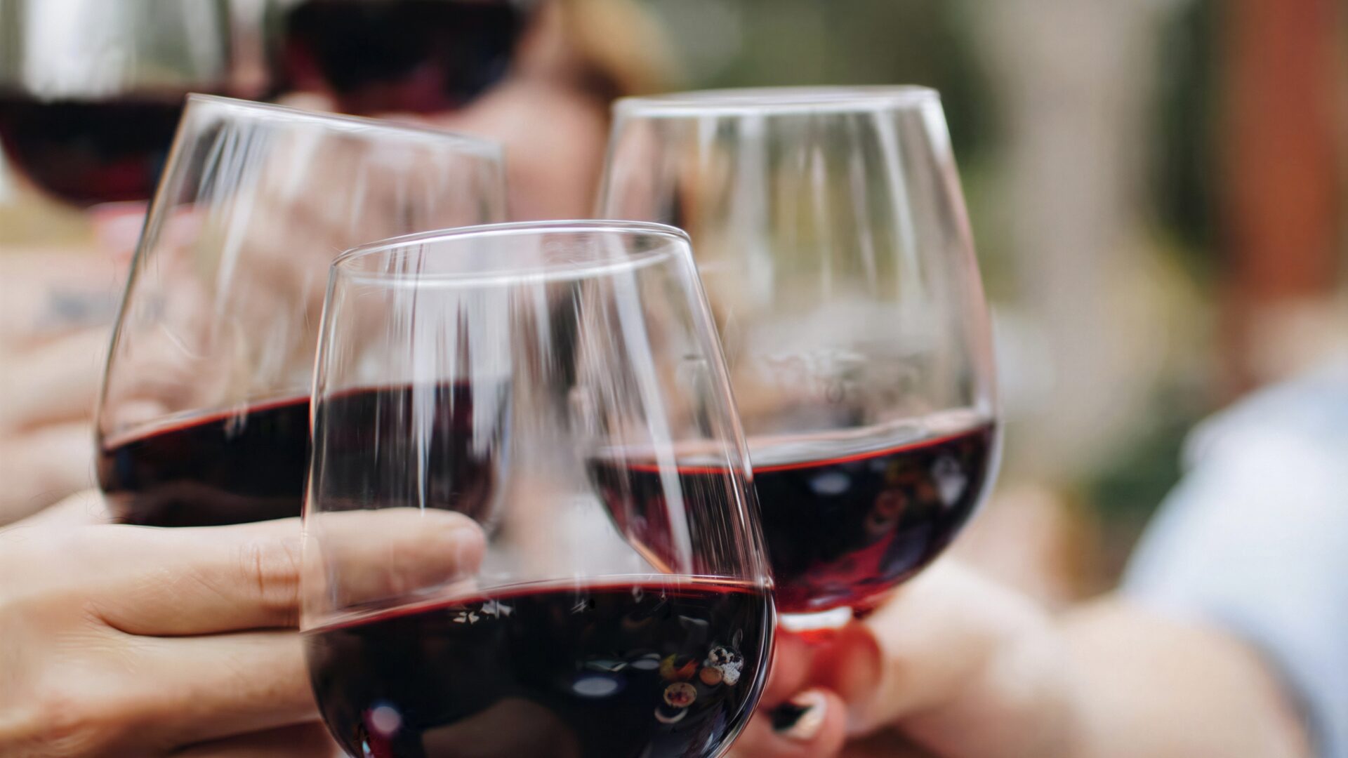 Requena · Pago de Tharsys winery tour with tasting & tapas